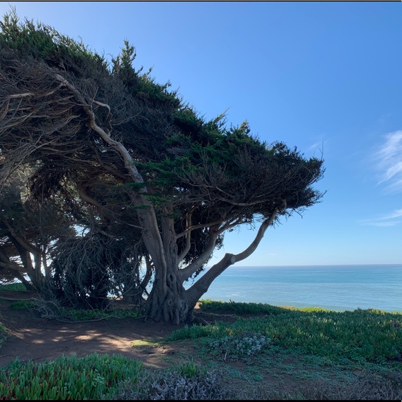 Meet your Posher, Tina - Picture 1 of 1